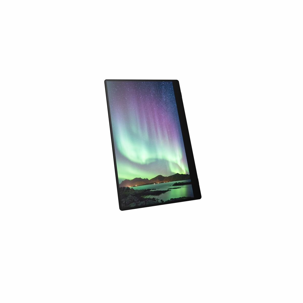 Monitor con Touch Screen Ricoh 150 15,6"